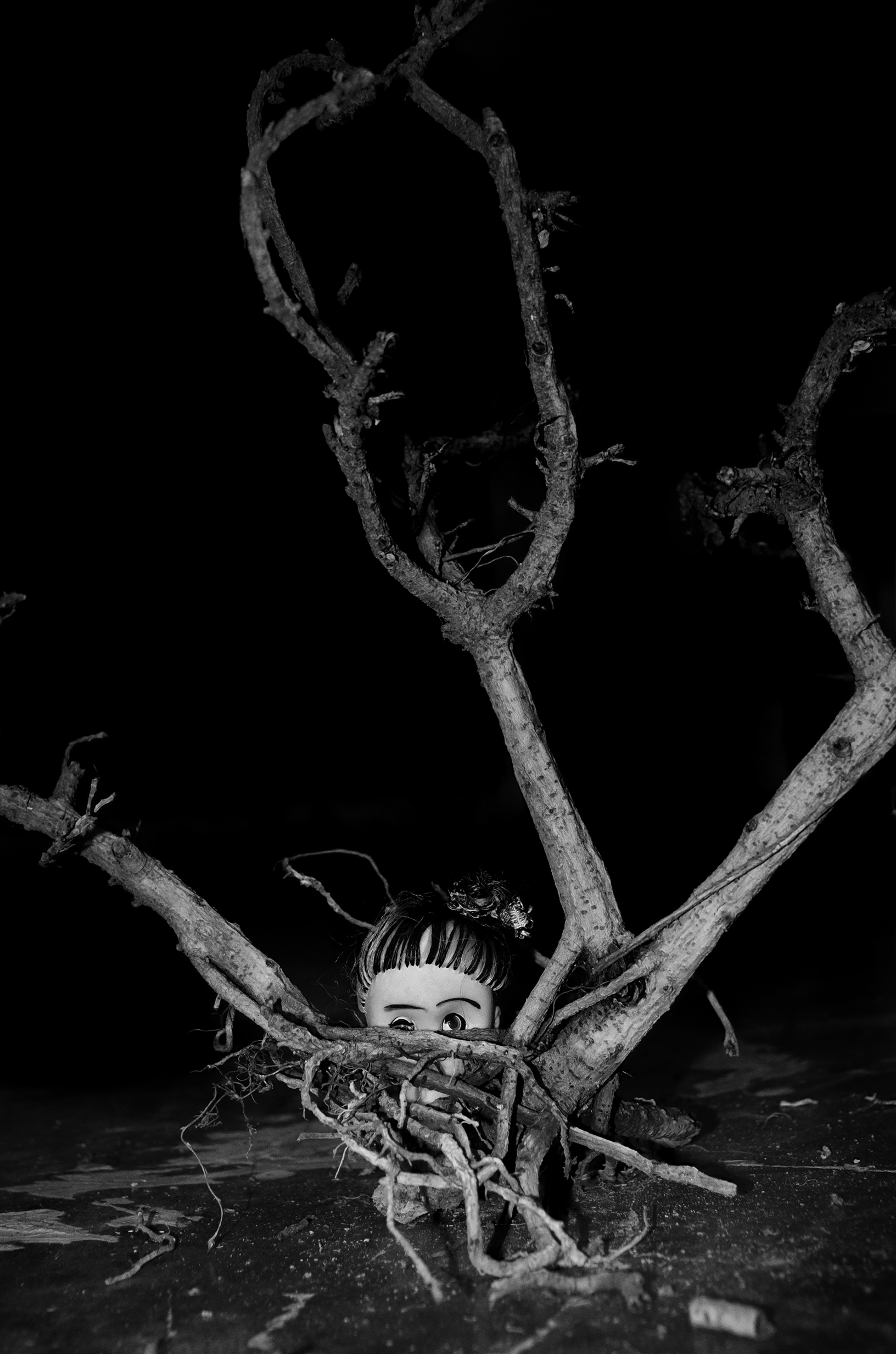 A Displaced Hope image 6