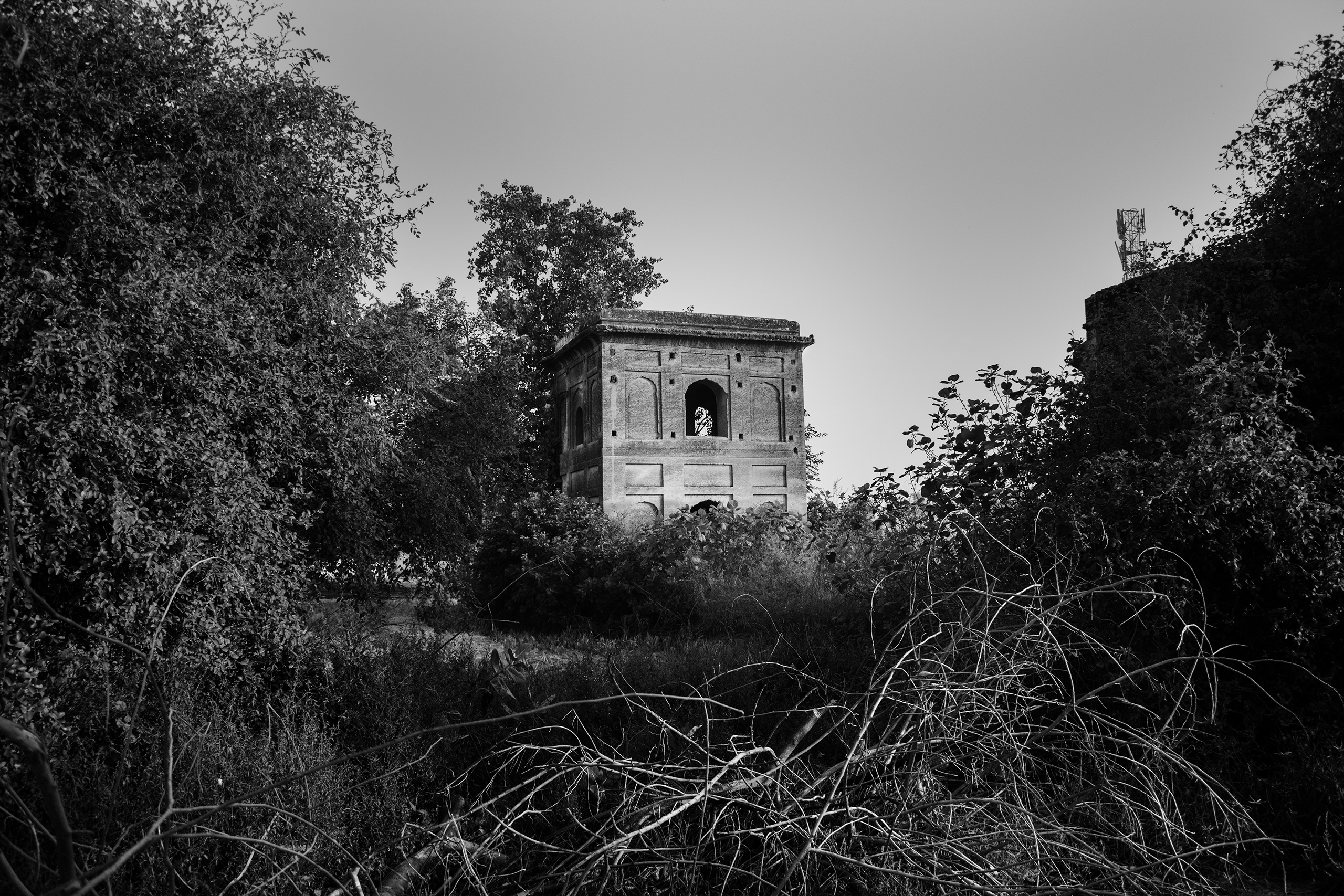 Portfolio image 6